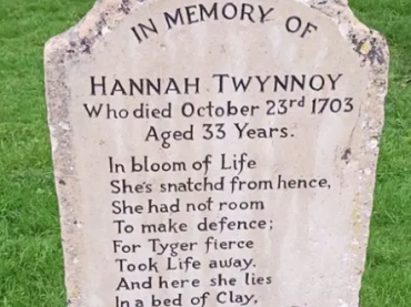 Hannah &amp; the Tyger - St Josephs School